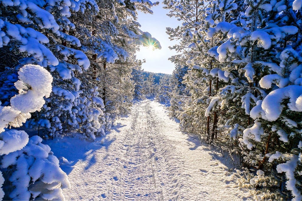 Hotel Vierjahreszeiten Flachau Pauschalen 45 3