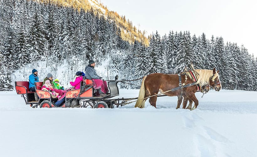 Pferdeschlittenfahrten in Flachau, Salzburger Land