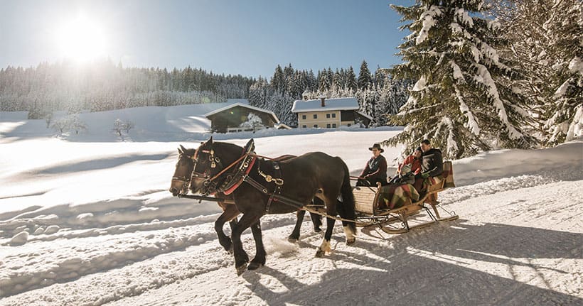 Pferdeschlittenfahrten im Salzburger Land
