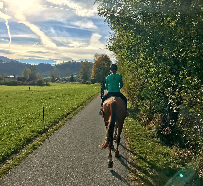 Reiten & Pferdesport im Salzburger Land
