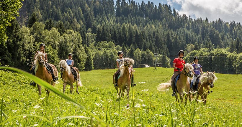 Reiten & Pferdesport im Salzburger Land