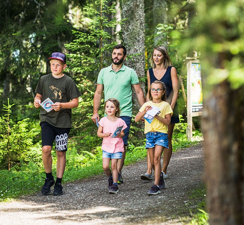 Wandern in Flachau, Salzburger Land