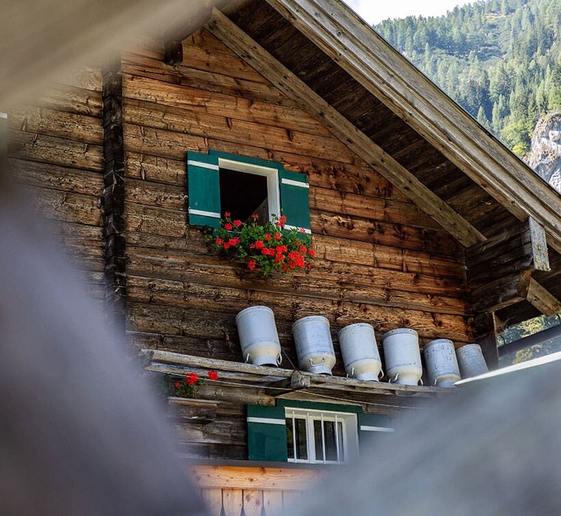Wanderung zur Marbachalm in Flachau