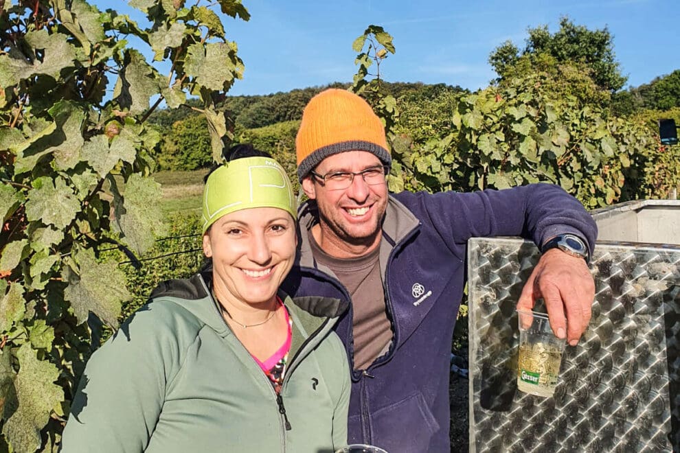 Weinlese – Eigenbauweine aus dem Burgenland im Hotel Vierjahreszeiten in Flachau