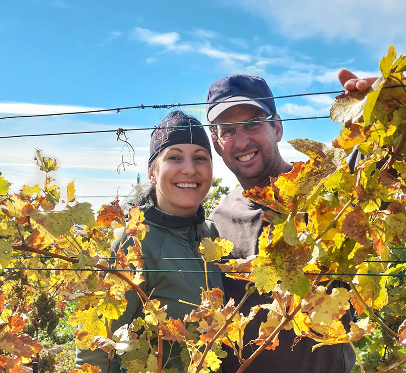 Weinlese – Eigenbauweine aus dem Burgenland im Hotel Vierjahreszeiten in Flachau